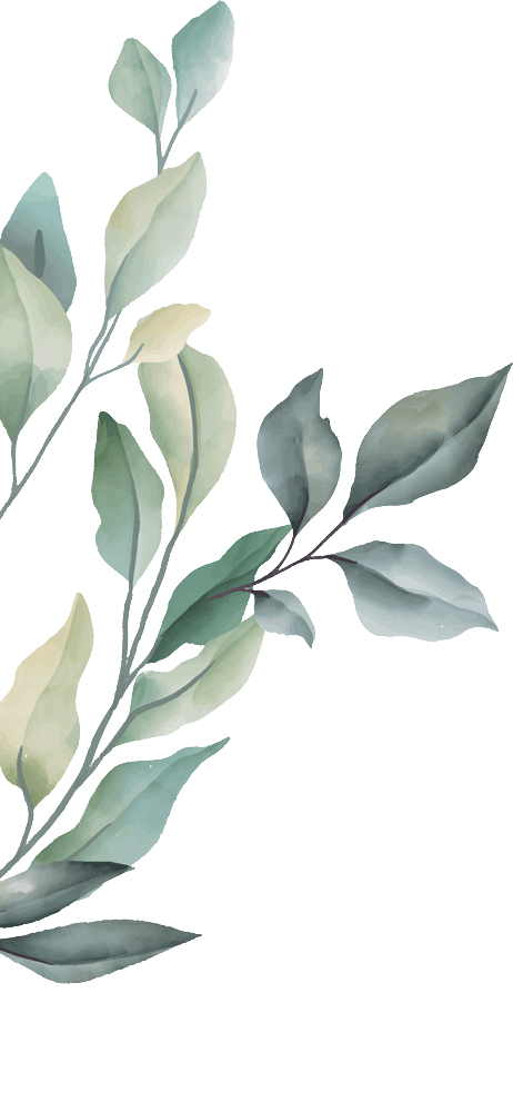 frame 03 organisation mariage soane et loire 71, allier 21, cote d'or 03