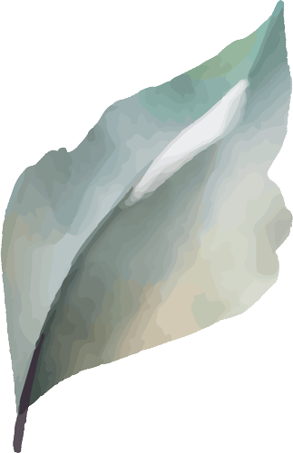 frame 05 organisation mariage soane et loire 71, allier 21, cote d'or 03