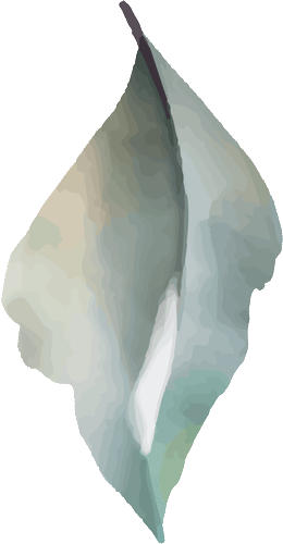 frame 06 organisation mariage soane et loire 71, allier 21, cote d'or 03