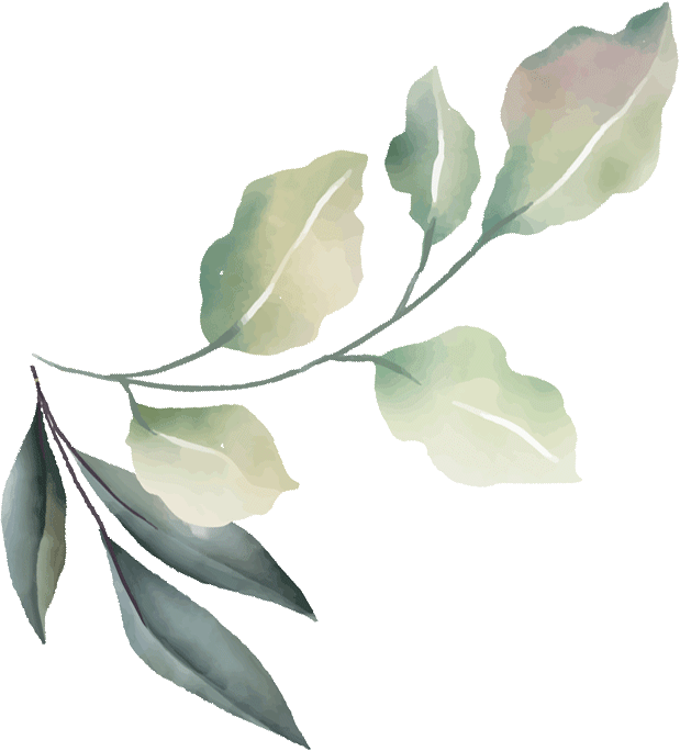 frame 08 organisation mariage soane et loire 71, allier 21, cote d'or 03