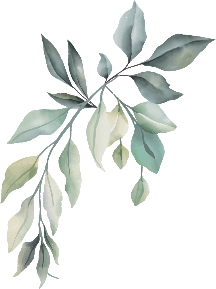 frame 09 organisation mariage soane et loire 71, allier 21, cote d'or 03